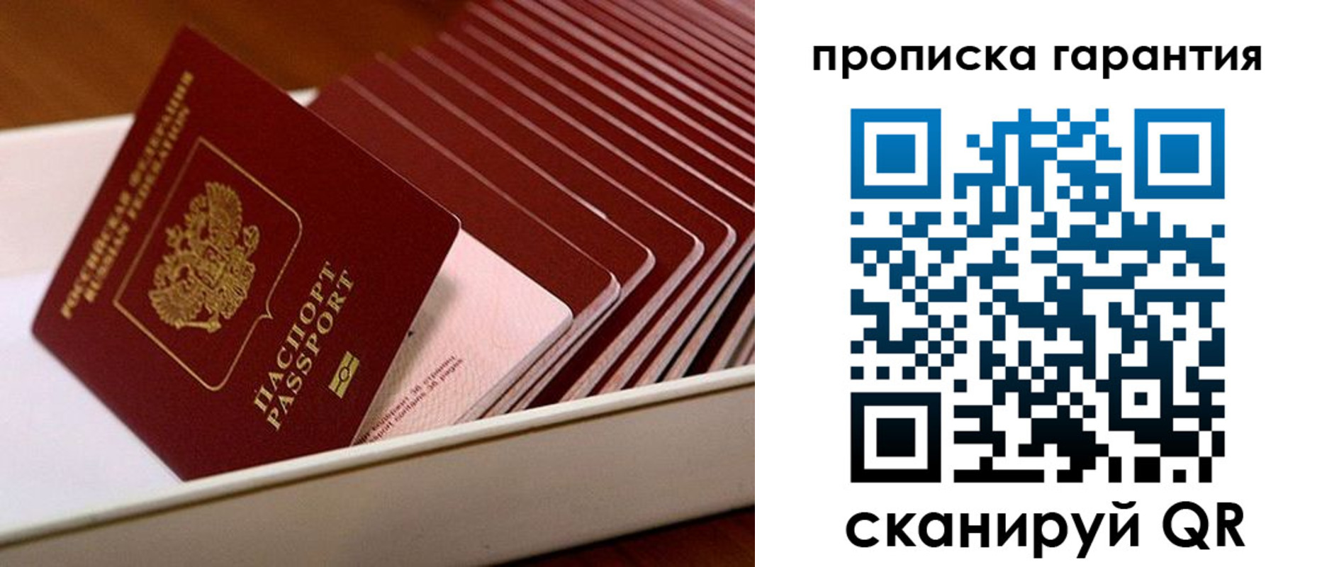 прописка поиск в Ленске
